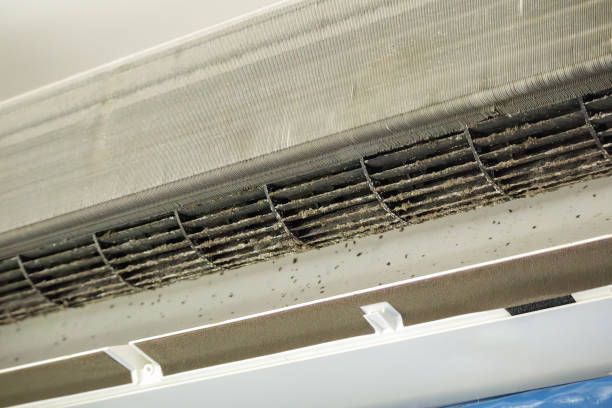 Best Air Duct Cleaning Near Me in Wildwood, TN